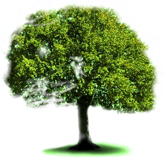 L'uomo e la natura