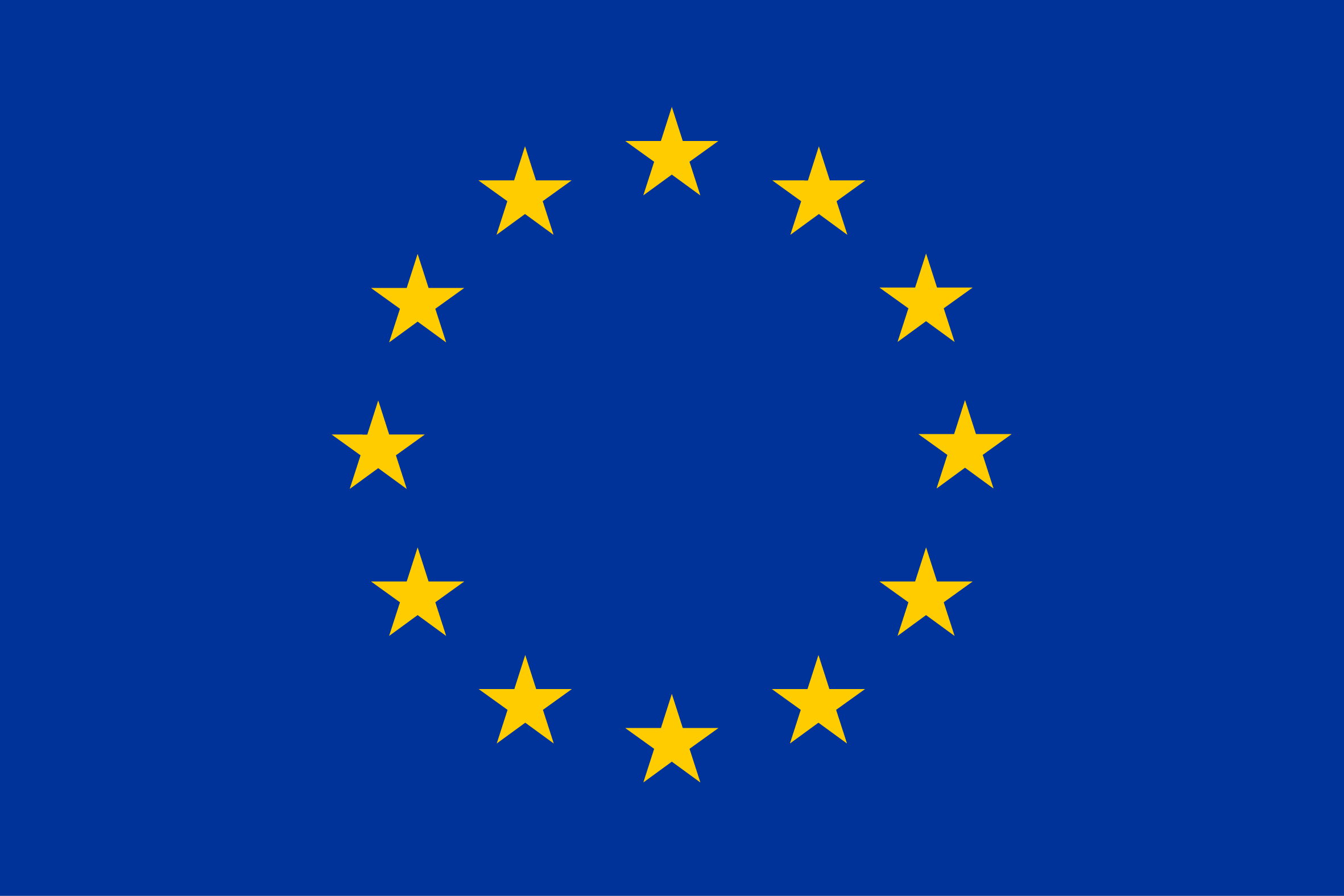 Bandiera dell'Unione Europea